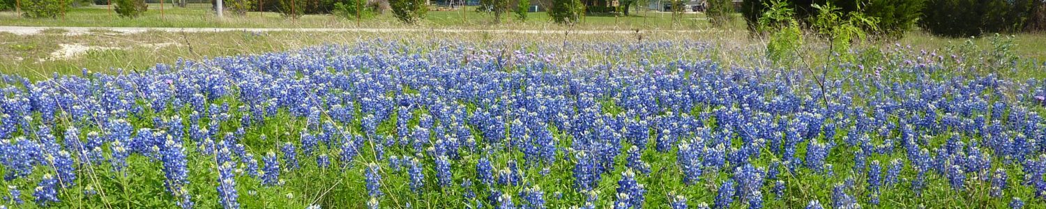 Four+ Acres for Sale in Ellis County