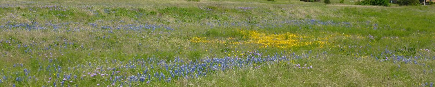 Four+ Acres for Sale in Ellis County